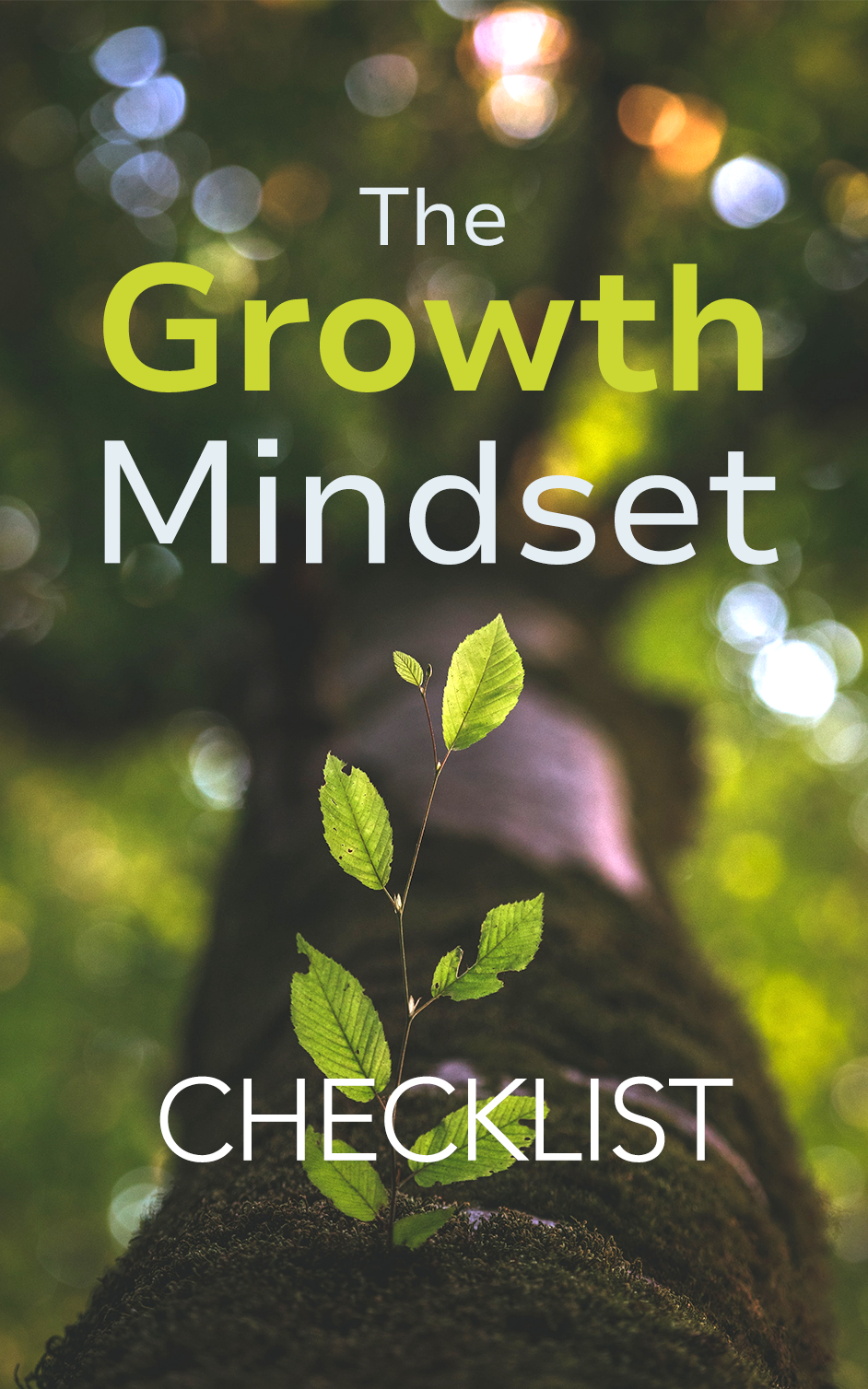 Миниатюра: The Growth Mindset