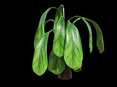 PlantVase.jpg