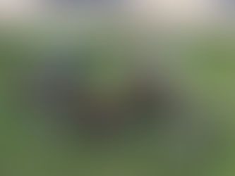 Vous cherchez un cyclo ? l’Atelier vous le trouve : Motobécane CADY