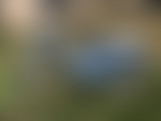 Restauration Motobécane AV 88 Etape # 3 fin