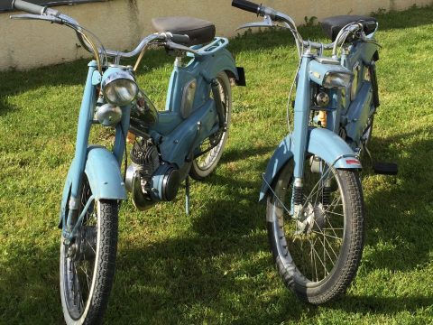 duo-de-bleues-480x360.jpeg