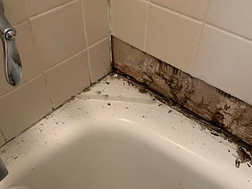 Bathroom Remodel 3 - Before (12).jpg