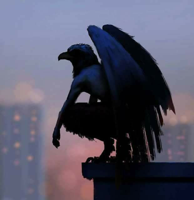 25551868_1974986936058173_6032149884857380909_n