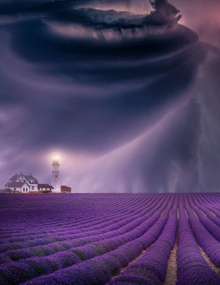 57390022_1826198337481256_5035924539825979392_n