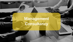 Management Consultancy