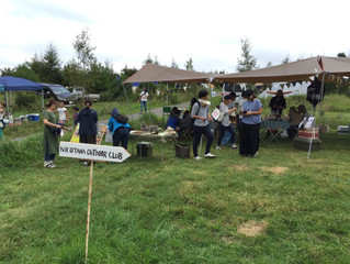 KNOCKING ON THE DOORS TINY GARDEN FESTIVAL 2016