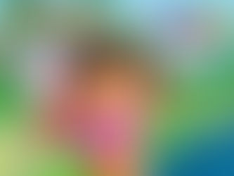 Dora The Explorer Season 1 4 Torrent