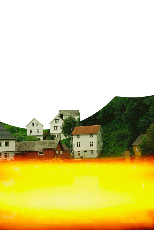 Phee website backgrund.png