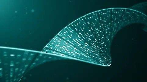 iStock-2206296709 copy.webp