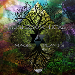 Capa VA Magic Plants Mushromm head FRENTE