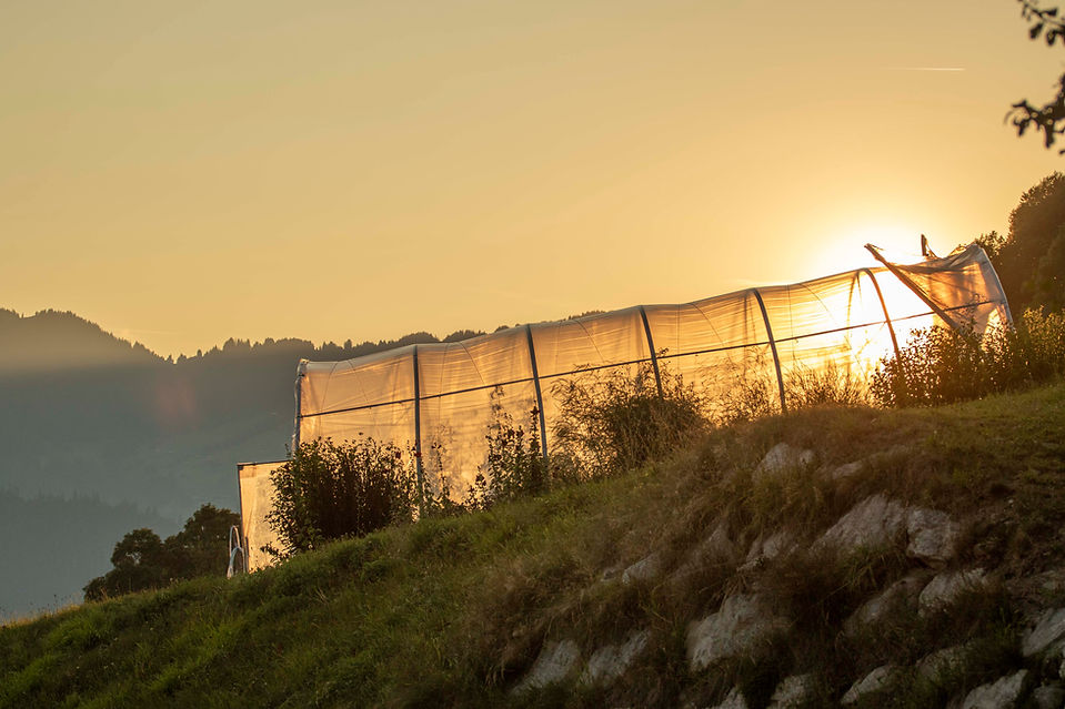 hay in machine and sunset_18.jpg