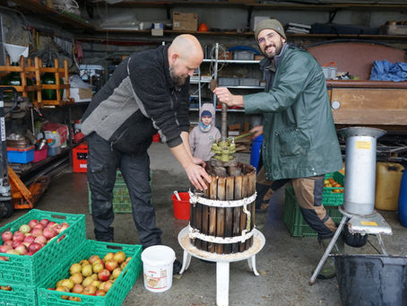 Mosten im Herbst 2024