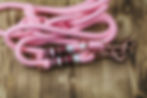 Miniaturbild: Fleur