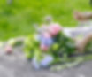 Xloi-flowers bouquets