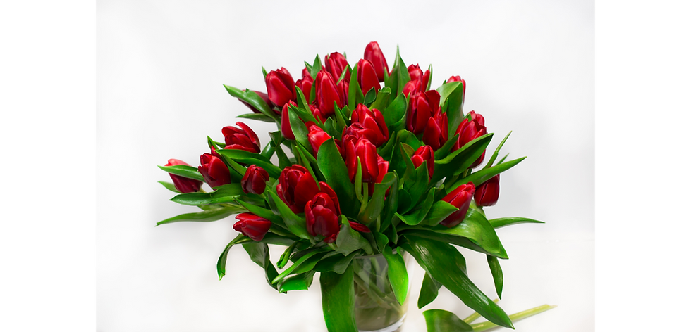 Thumbnail: tulips flowers