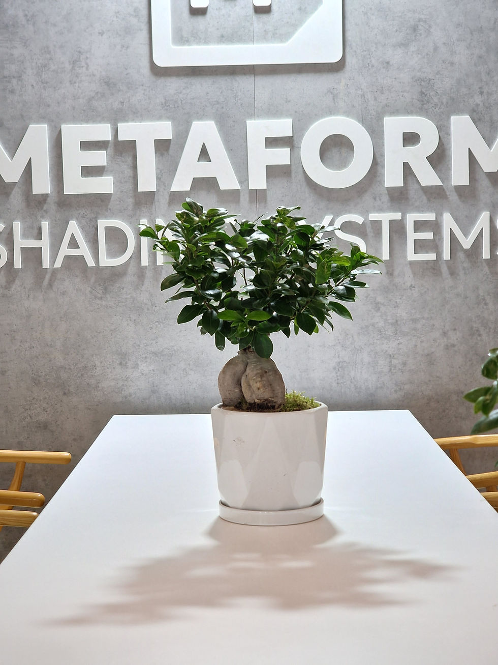 Bonsai for event table styling