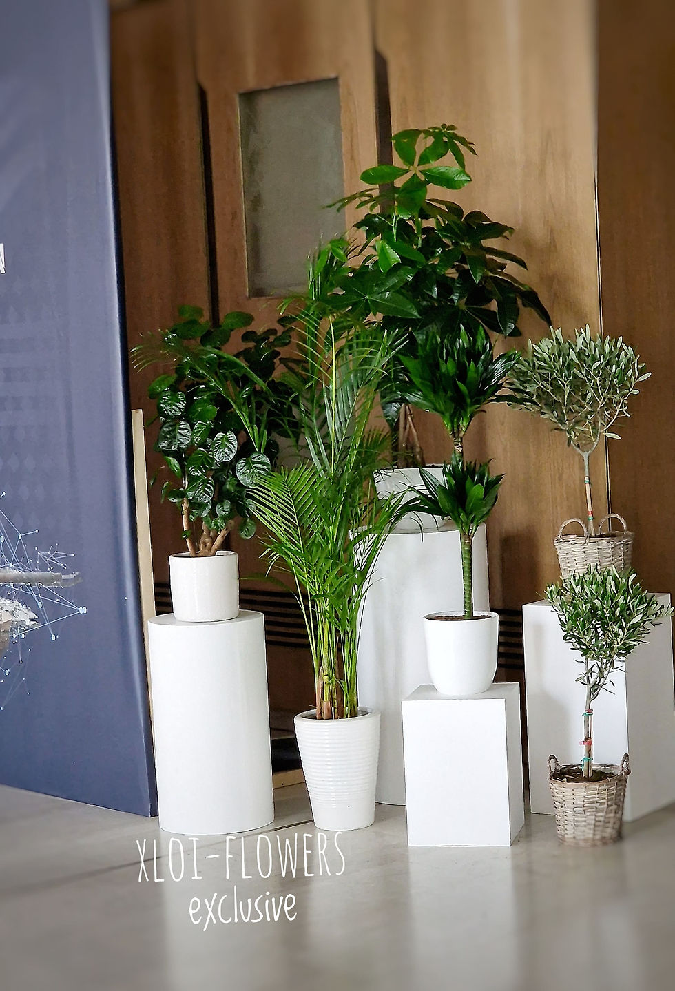 Decoration Megaro Mousikis