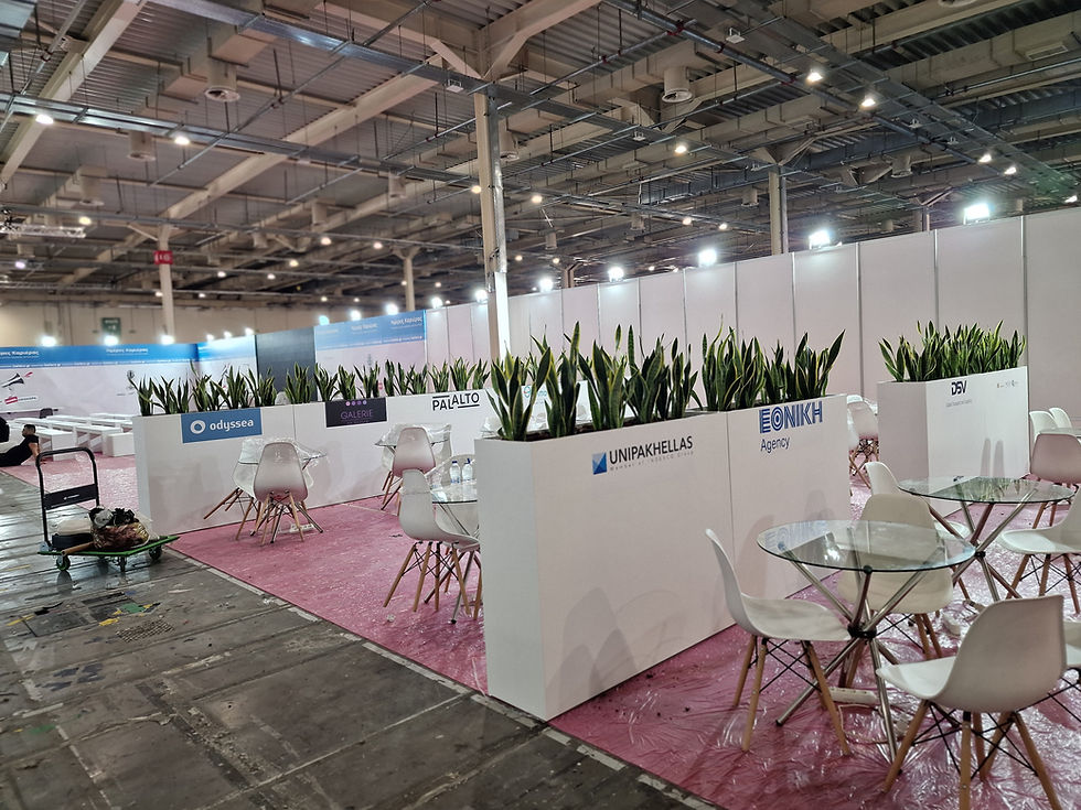 Planters with sansevieria for event styling
