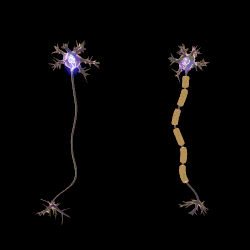 neurons spinning