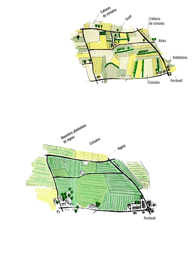dynamique_viticulture_vide.png