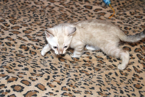 IMG_5535_edited.jpg