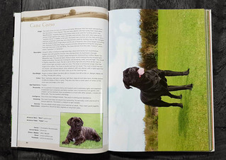Armorcor Book & Calendar Feature
