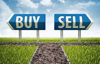 Seasons of Real Estate & Real Estate Activity Patterns