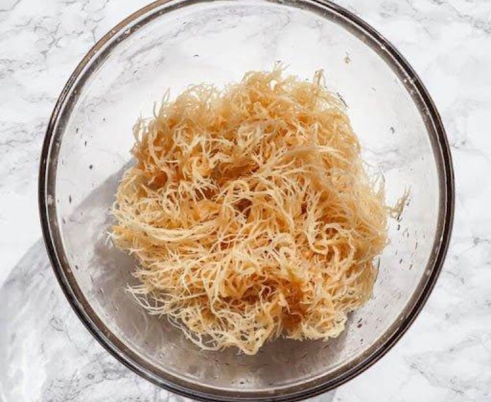 When you take sea moss consistently, here’s what happens: