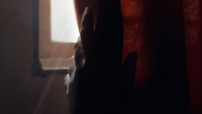 Prose: Sunlight in the Dust of my Window by Niha Hasan 