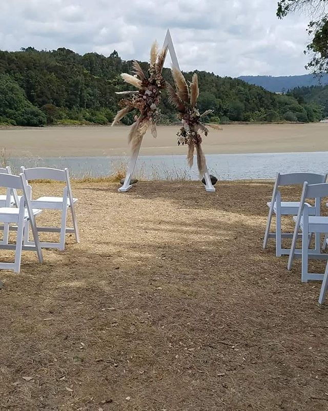 White bella chairs $5.00 each