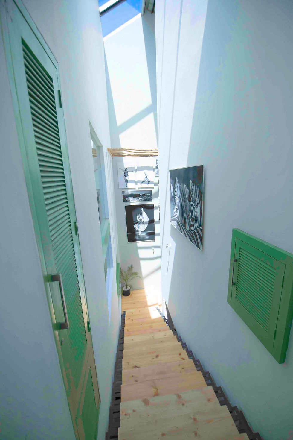 Skylight, pine wood flooring. Stark white walls and black and white photography.