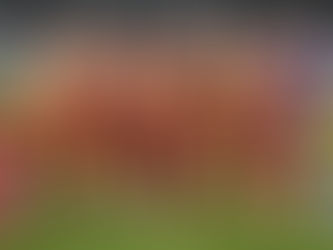 Galatasaray'dan transfer atağı