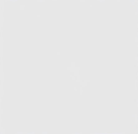 light gray solid background_edited.jpg