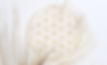 shutterstock_1139402963_edited.jpg