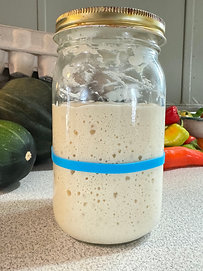 Sourdough Starter