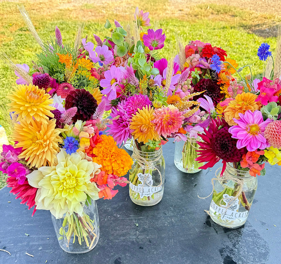 Thumbnail: Flower and Farm CSA-2026 Summer late