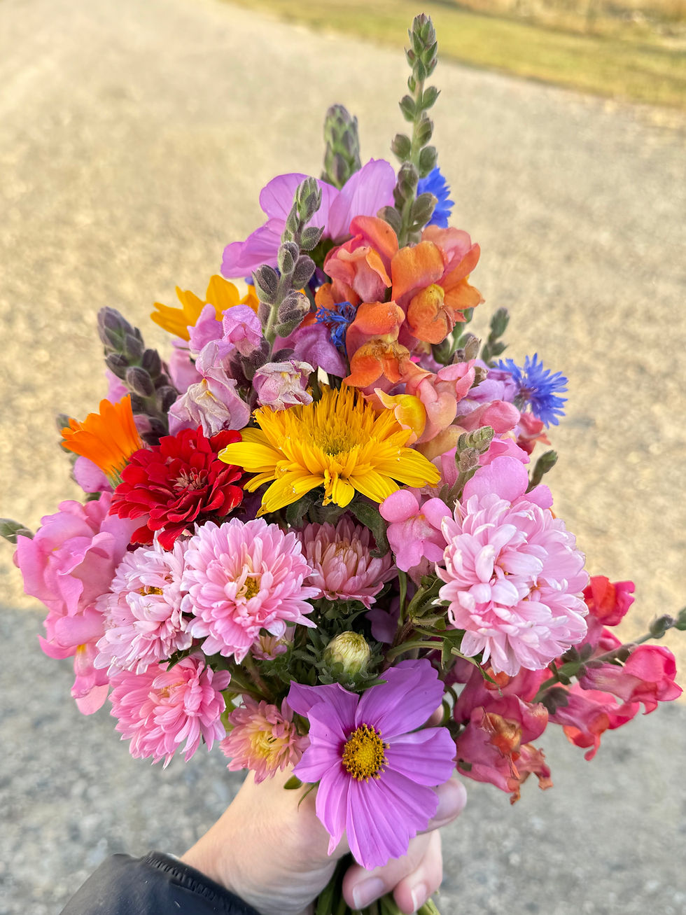 Thumbnail: CSA Flowers-Spring 2026