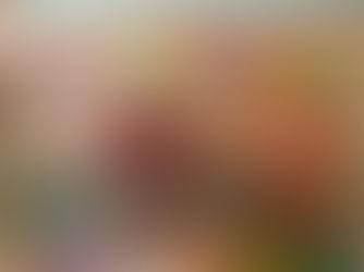 Mais imagens do Arraiá 2021 - 1.0