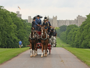 windsor 2016 16.jpg