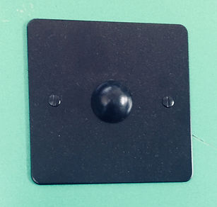 Black Bulb.jpg