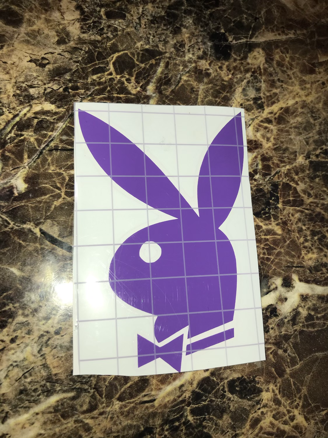 Playboy Bunny Decal