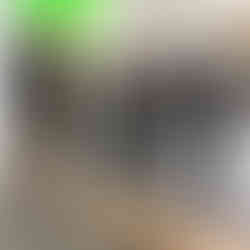 Der Künstler Cornelius Völker besucht die Vernissage #3 in der Sammlung Deilmann