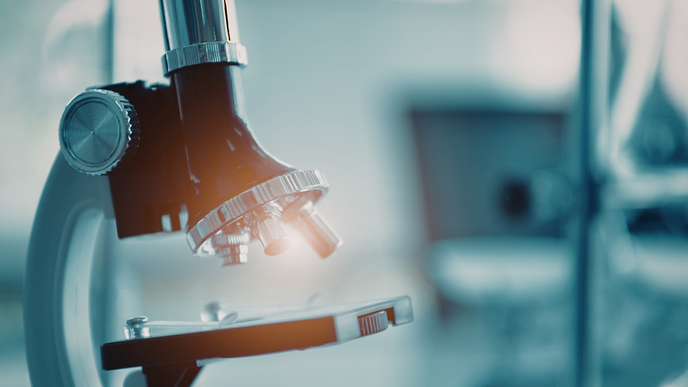 FROHE OSTERN (2).png