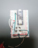 ree