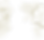 background champ.png