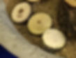 Wood Circle Steps (5/Pack)