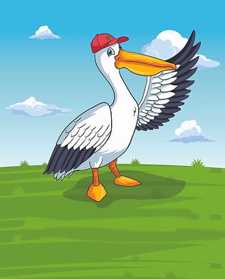 image-pelican-commentaire.jpg