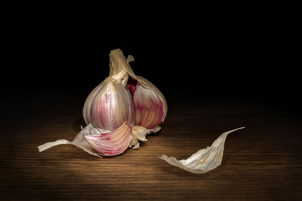 Garlic