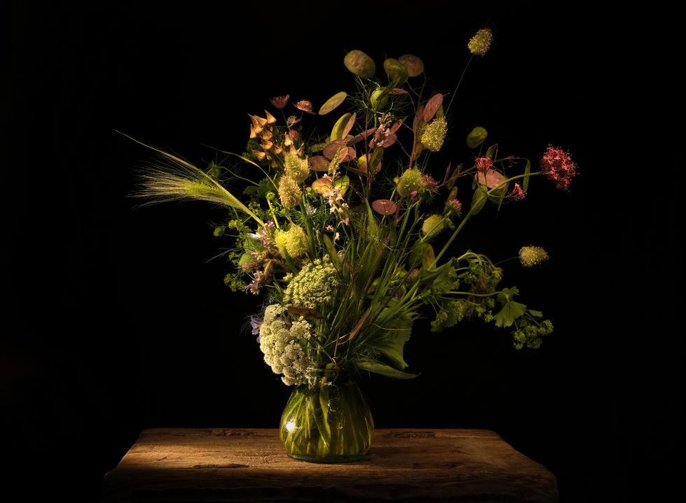 Wildflowers 7