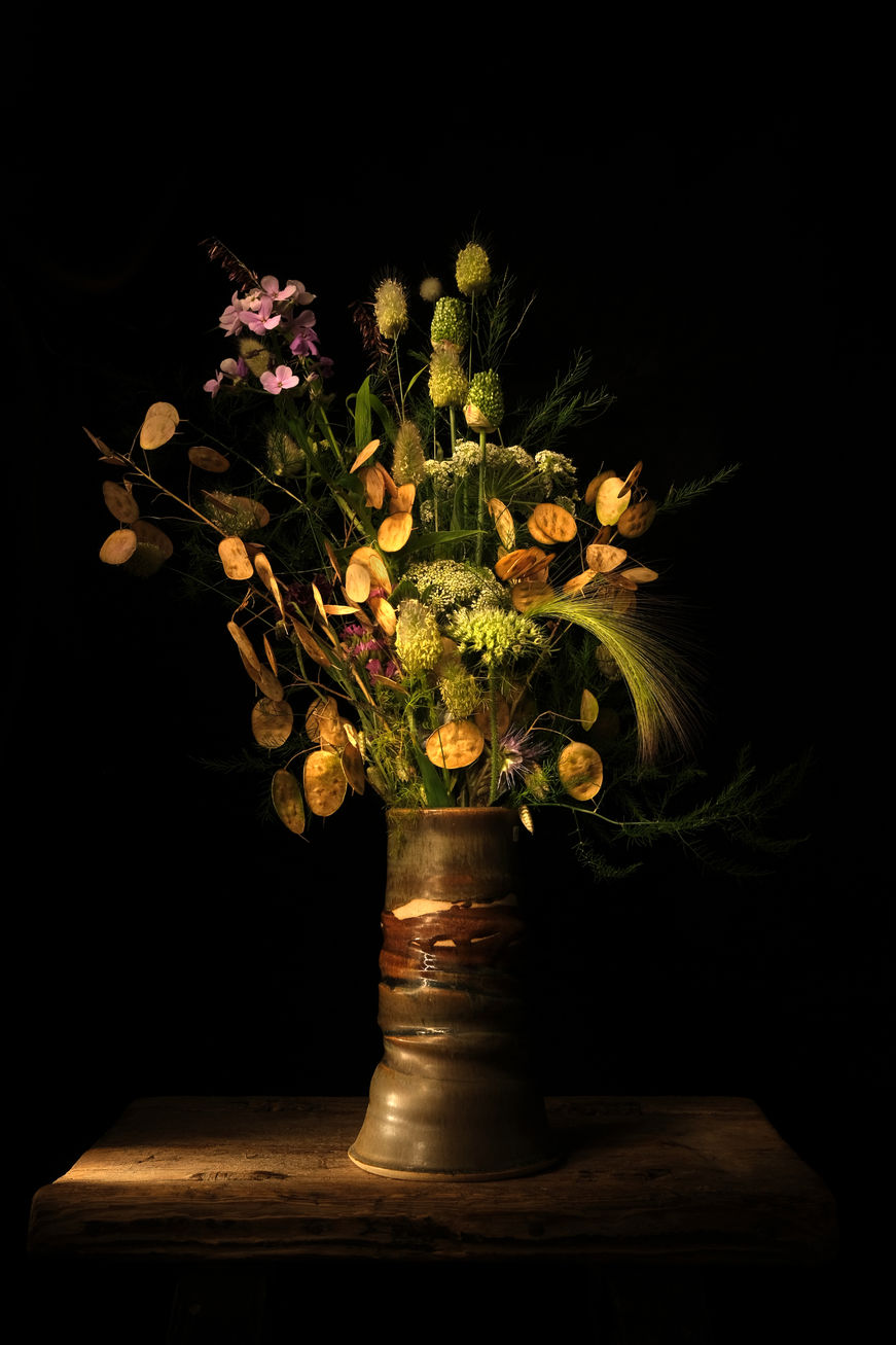 Wildflowers 2